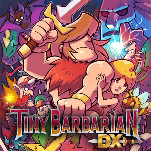 Tiny Barbarian DX