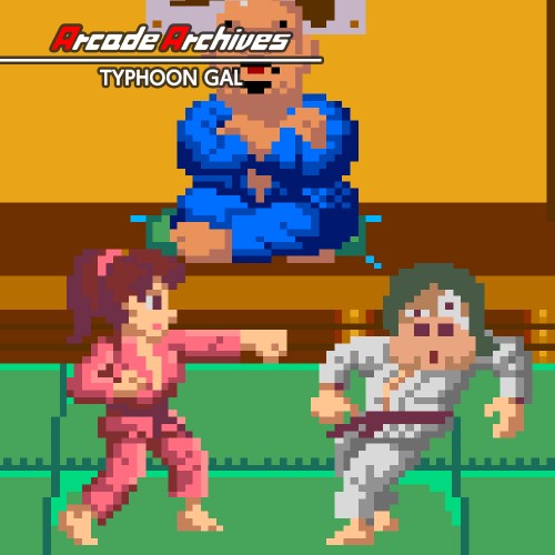 Arcade Archives TYPHOON GAL