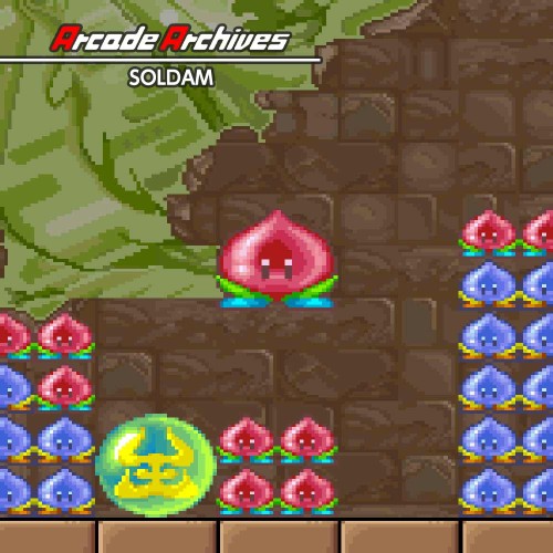 Arcade Archives SOLDAM