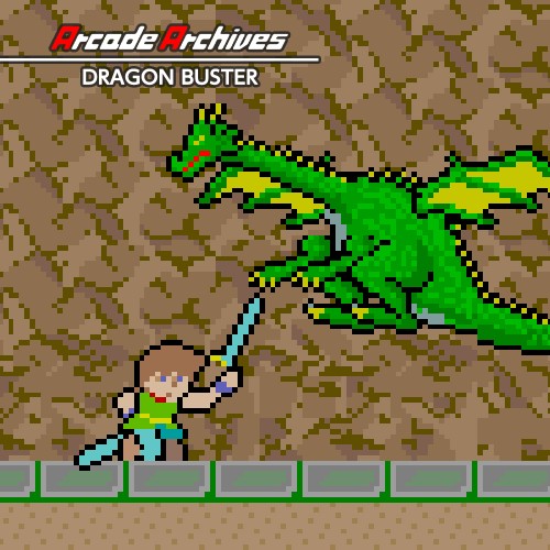Arcade Archives DRAGON BUSTER