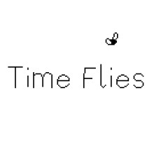 Time Flies