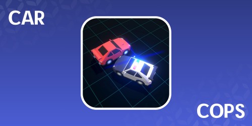Car VS Cops