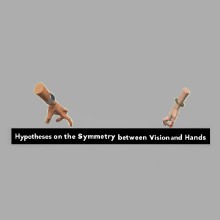 Hypotheses on the Symmetry between Vision and Hands