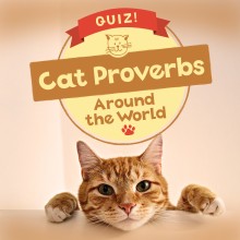 QUIZ! Cat Proverbs Around the World