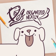 Dogs Organized Neatly