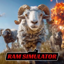 Ram Simulator