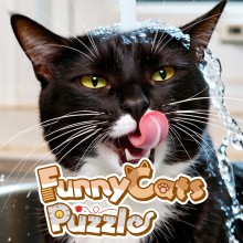  Funny Cats Puzzle