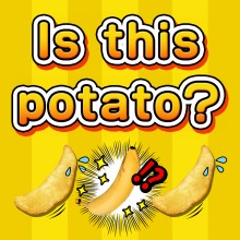 Is this potato?