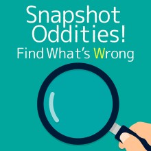 Snapshot Oddities ! Find What’s Wrong