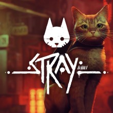 Stray - Nintendo Switch 2 Edition