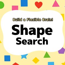 Build a Flexible Brain! Shape Search