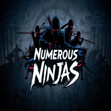 Numerous Ninjas